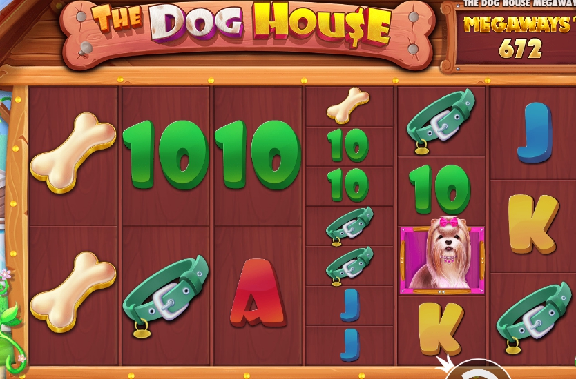 Megaways-Slot für Hundehütten